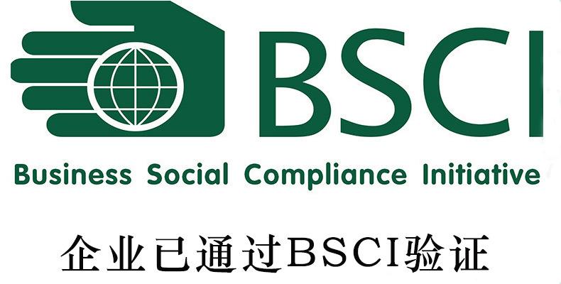 惠州XX皮具厂有限公司BSCI验厂过关订单